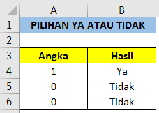 Cara Menampilkan Pilihan Ya atau Tidak Dengan Menggunakan Angka Dalam Excel